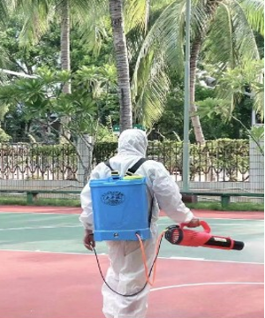 专业消杀